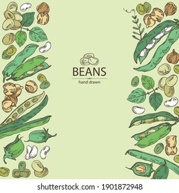 Background with vegetables: soybean plant, beans pod, chickpea beans and mung beans. Vector hand drawn illustration.