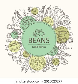 Background with vegetables: soybean plant, beans pod, chickpea beans and mung beans. Vector hand drawn illustration.