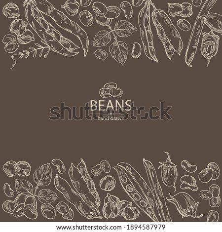 Background with vegetables: soybean plant, beans pod, chickpea beans and mung beans. Vector hand drawn illustration.