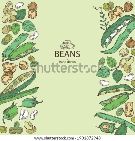 Background with vegetables: soybean plant, beans pod, chickpea beans and mung beans. Vector hand drawn illustration.