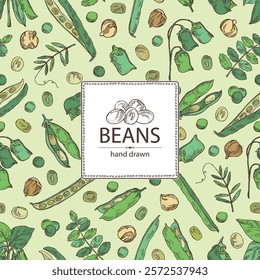 Background with vegetables: soybean plant, lentil, chickpea beans and mung beans. Vector hand drawn illustration.