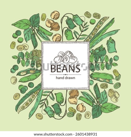 Background with vegetables: soybean plant, lentil, chickpea beans and mung beans. Vector hand drawn illustration.