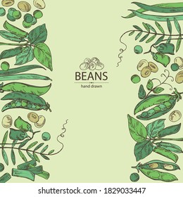 Antecedentes con verduras: planta de soja, vaina de arveja, frijol de lettil y vaina, frijol verde francés. Ilustración dibujada a mano por vectores.