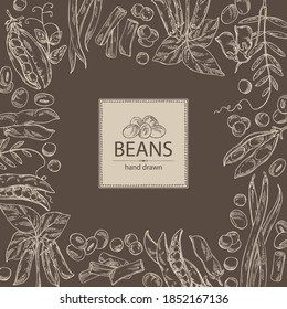 Antecedentes con verduras: planta de soja, vaina de arveja, frijol de lettil y vaina, frijol verde francés. Ilustración dibujada a mano por vectores.