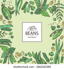 Background With Vegetables: Soybean Plant, Peas Pod, Lettil Beans And Pod, French Green Beans. Vector Hand Drawn Illustration.