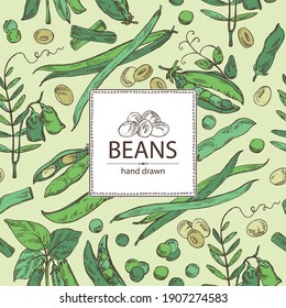 Background with vegetables: soybean plant, peas pod, lettil beans and pod, french green beans. Vector hand drawn illustration.