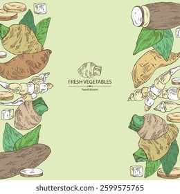 Background with vegetables: taro root, tuber of yams, yacon, chinese artichoke. Vector hand drawn illustration.