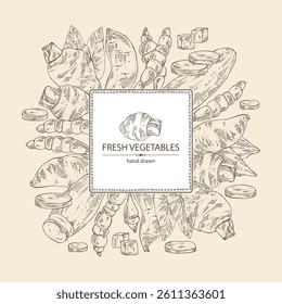 Background with vegetables: taro root, tuber of yams, yacon, chinese artichoke. Vector hand drawn illustration.