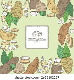 Background with vegetables: taro root, tuber of yams, yacon, chinese artichoke. Vector hand drawn illustration.