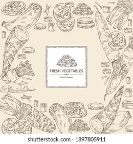 Background with vegetables: wasabi root, lotus root, daikon radish and bamboo shoots. Vector hand drawn illustration.