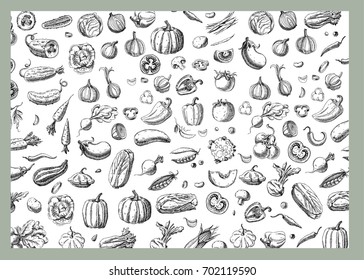 Background With Vegetables.Templates For Label Design With Hand Drawn Linear Vegetables. Can Be Used For Vegan Products, Brochures, Banner, Restaurant Menu, Farmers Market And Organic Food Store