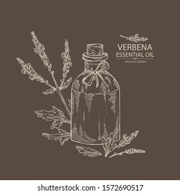 Background with verbena flowering branch , leaves and bottle of verbena essential oil. Cosmetic, perfumery and medical plant. Vector hand drawn illustration.