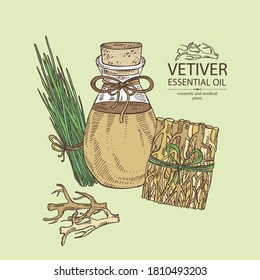 Background with vetiver root and plant of vetiver and bottle of vetiver essential oil. Cosmetic, perfumery and medical plant. Vector hand drawn illustration.