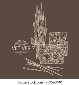 Background Vetiver Root Plant Vetiver Perfumery Stock Vector (Royalty