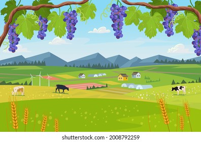 Background village with fields of greenhouses and grapes in the foreground. landscape with hills, meadows, blue sky with white clouds.Vector banner for eco products.