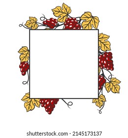 Background of vine with leaves and bunches of grapes. Winery image for restaurants and bars.