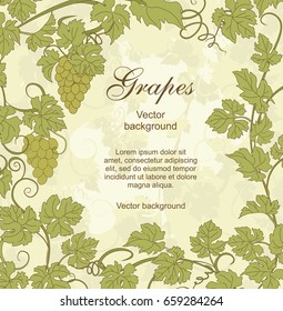 Background with vines. Vector background with vines in vintage style. Can be used for labels, invitations, greetings, posters, leaflets.