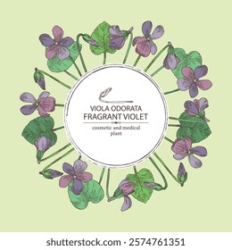 Background with viola odorata: plant, leaves and viola odorata flowers.  Fragrant Violet. Cosmetic, perfumery and medical plant. Vector hand drawn illustration