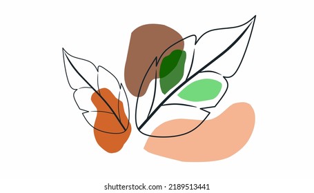 Background wall, line art with color