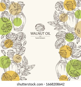 Background with walnut and bottle of walnut oil. Vector hand drawn illustration