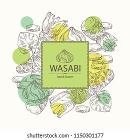 Background with wasabi: root, leaves and a piece of wasabi root. Vector hand drawn illustration.