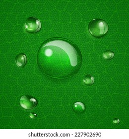 Background with water drops of different forms on green leaf