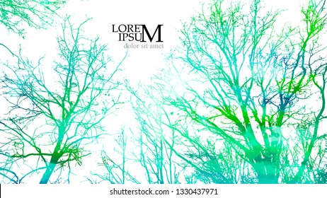 Background with watercolor branches of trees