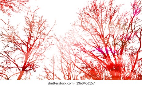 Background with watercolor branches of trees
