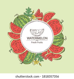 Background with watermelon: watermelon fruit and slice. Vector hand drawn illustration