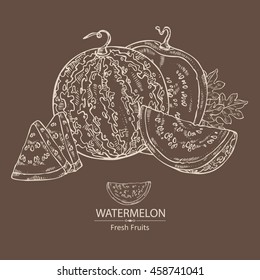 Background with watermelon . hand drawn
