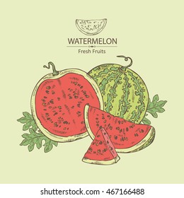 Background with watermelon . hand drawn