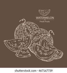 Background with watermelon . hand drawn