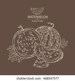 Background with watermelon . hand drawn