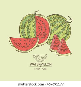 Background with watermelon . hand drawn