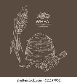 Background with wheat: bag with flour, grain and spikelets. hand drawn,