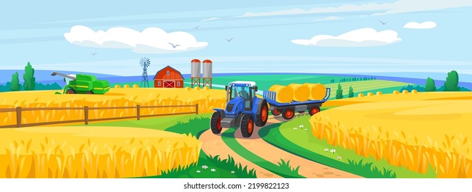 Fondo de un campo de trigo con tractor, cosechadora, silos y granero. Temporada de cosecha en una granja. Industria de la alimentación ecológica y agricultura. Ilustración vectorial de estilo de dibujos animados.