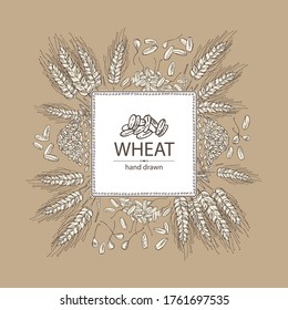 Background with wheat and wheat grain. Vector hand drawn illustration