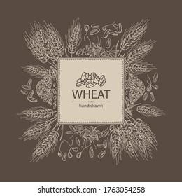 Hintergrund mit Weizen- und Weizenkörnern. handgezeichnete Vektorgrafik