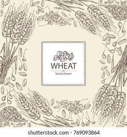 Hintergrund mit Weizen- und Weizenkörnern. handgezeichnete Vektorgrafik
