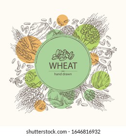 Background with wheat: plate and bag with wheat flour and wheat grain. Vector hand drawn illustration.