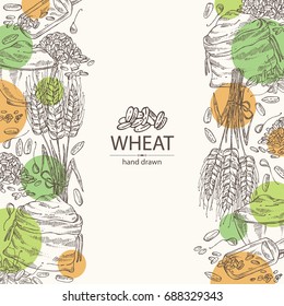 Background with wheat: plate and bag with wheat flour and wheat grain. Vector hand drawn illustration