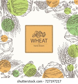 Background with wheat: plate and bag with wheat flour and wheat grain. Vector hand drawn illustration