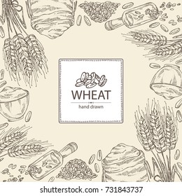 Background with wheat: plate and bag with wheat flour and wheat grain. Vector hand drawn illustration.