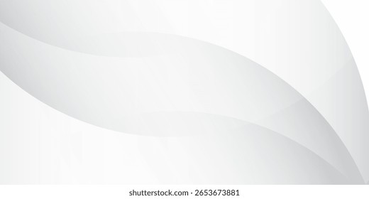 Background white abstract. background gray. Eps10