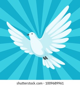 Background with white dove. Beautiful pigeon faith and love symbol.