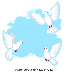Background with white doves. Beautiful pigeons faith and love symbol.