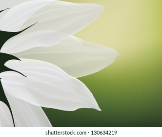 Background with white flower. Vector illustration