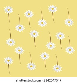 Background of white flowers falling on a yellow background professionally