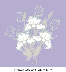 Background with white irises. Vector illustration