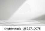Background White Studio with Shadow on Grey Wall and Podium Floor for Spring Product Design,Interior Kitchen Room with Light Texture Effect from Window Frame,Vector 3d Backdrop for Summer banner